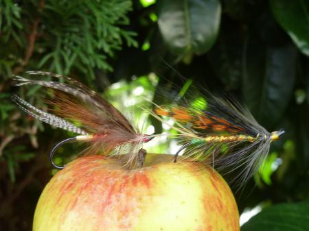 Deux belles mouches sur une pomme.